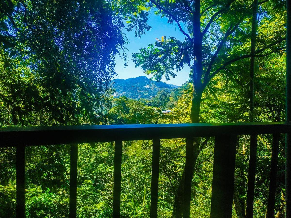 Samadhi Nature Resort Ella Eksteriør bilde